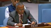 India Demands Immediate Ceasefire In Gaza And Hostage Release At UN