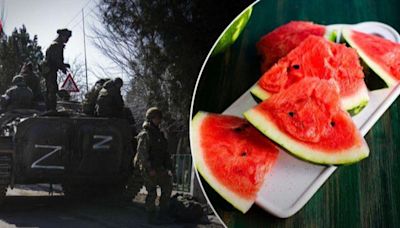 12名俄士兵吃「毒西瓜」慘死 烏克蘭抵抗組織：我們下的藥