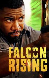 Falcon Rising