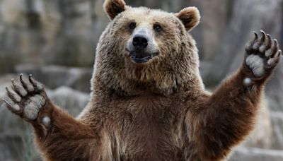 Bank of America strategist says it's time to get bearish