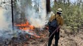 Little Yamsay Fire being used as prescribed burn near Chemult