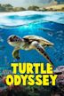 Turtle Odyssey