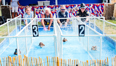 From ducks to diving dogs, 15 new things at the Indiana State Fair