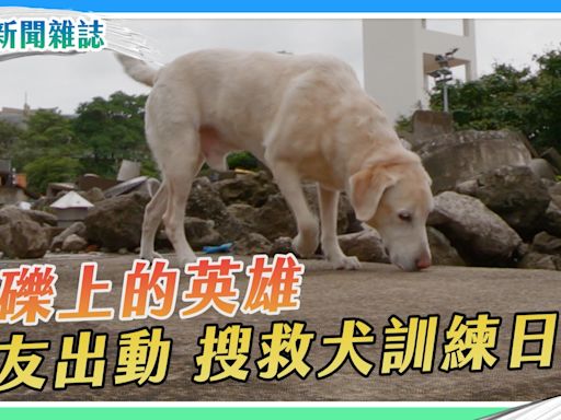 萌友出動！Roger 搜救犬訓練日記｜華視新聞雜誌