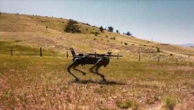 Watch 'terminator' robot dog with AI-targeting rifles tested being by US Marines