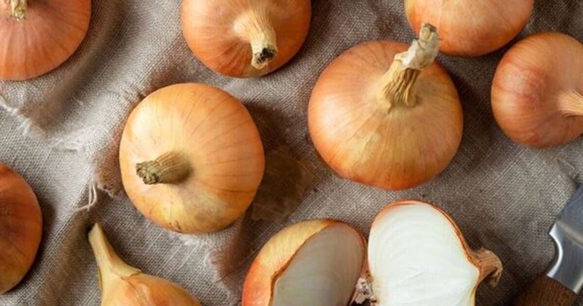 Best location to store onions and keep them edible for 6 months