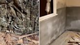 Buyer renovating home pulls up floorboards—calls police over what she finds