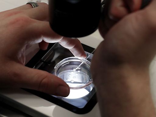 French agency calls for sperm and egg donations amid increasing demand