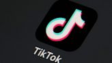 Could A Ban On TikTok Hurt Democrats?