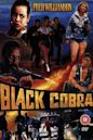 The Black Cobra