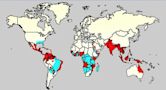 Dengue fever outbreaks