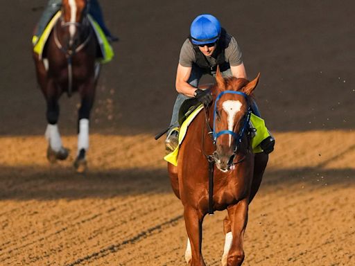 Mugatu trainer, jockey, owner and more to know about Preakness 2024 horse