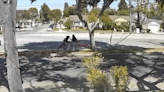 Police search for thief who robbed girl on public bench in Long Beach