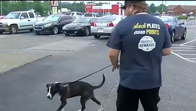 Owner of Missing Dog Shocked to See Social Media Video of 2 Men Allegedly Using Animal for Target Practice