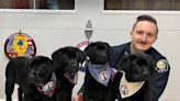 Portsmouth police, Officer Nicoli to start comfort dog program