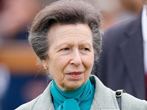 Royal Family Releases Striking Photo of Princess Anne Standing Alone While Receiving Huge Honor