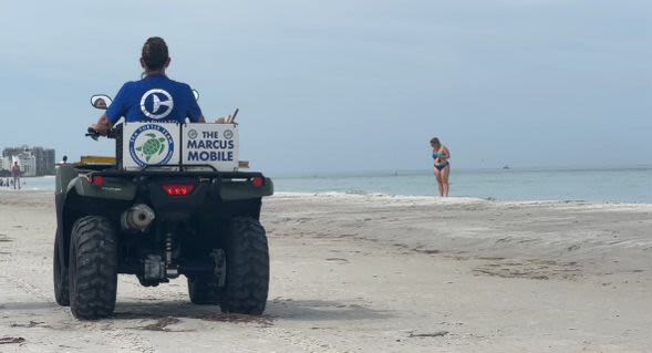 Trackers hope for strong turtle nesting season after down year