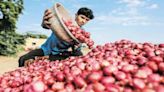 Indian govt amends export policy of onions to free for minimum export prices of $550 per MT