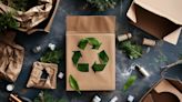 Exploring the role of packaging in circular economy models