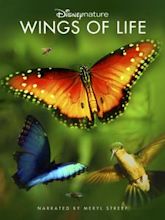 Wings of Life