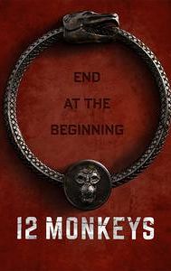 12 Monkeys