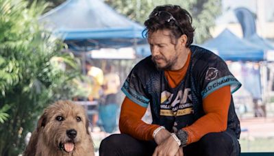 Stream It Or Skip It: ‘Arthur the King’ on VOD, a sports drama that stages an epic scruff-off between Mark Wahlberg and a very cute dog