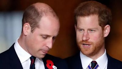 Prince Harry and William's feud could be ended by a single person - but sadly it's now too late