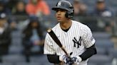 New York Yankees reinstate Oswald Peraza, option him to Triple-A | Sporting News