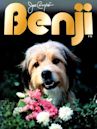 Benji – Auf heißer Fährte