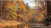 Bucks County leaf peeping: When and where to spot the best fall foliage