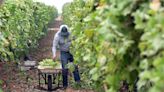 New federal rules give farmworkers more rights and protections