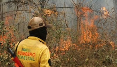 Bolivia wildfires set to blaze past record as forests burn