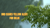 Delhi Under Yellow Alert, Rainfall Expected to Continue Till...