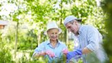 Ways to Make Gardening Easier as You Age - East Idaho News