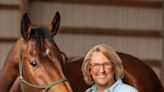 Liberty Connections Farm in LaGrange offers equine-assisted learning services