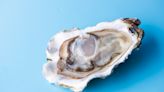 Do aphrodisiacs like oysters and chocolate actually work?