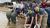 La Nación / Con apoyo de la Misión Técnica de Taiwán realizaron siembra ecológica de peces nativos