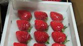 日本香川進口鮮草莓遭檢出殘留農藥 (圖)