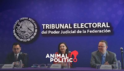 INE entrega a Tribunal Electoral ocho juicios contra elección presidencial, entre ellos, el de Xóchitl Gálvez