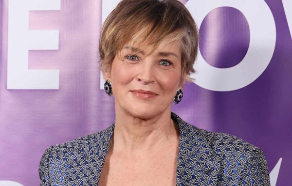 Sharon Stone Sued for $35,000 in Damages Over Alleged Car Crash