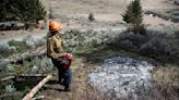 'We'd be the torch': Bridger Canyon homeowners work to reduce fire risk