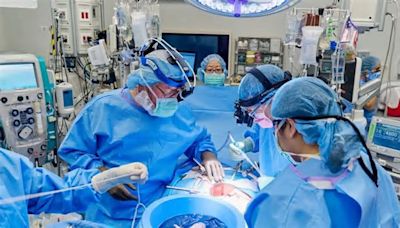 Cirujanos de Estados Unidos trasplantan con éxito un riñón de cerdo a un paciente vivo por segunda vez