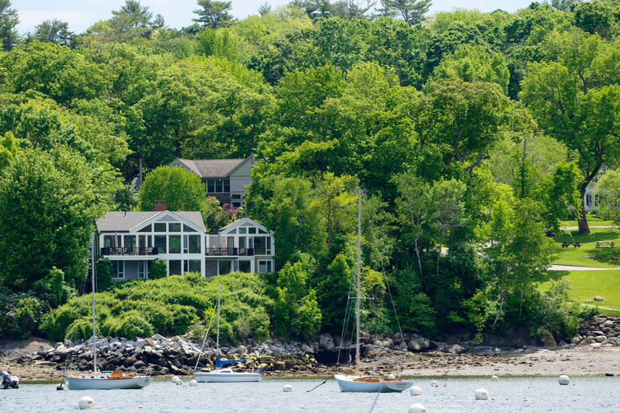 Poisoned trees gave a wealthy couple in Maine a killer ocean view. Residents wonder, at what cost? - Maryland Daily Record