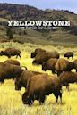 Yellowstone (British TV series)