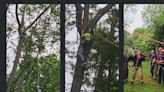 Fire department rescues Raytown tree trimmer stranded 65 feet above ground