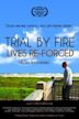 Trial by Fire: Lives Re-Forged