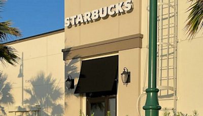 Alligator attempting to patronize North Port Starbucks drive-thru takes fast lane to pond