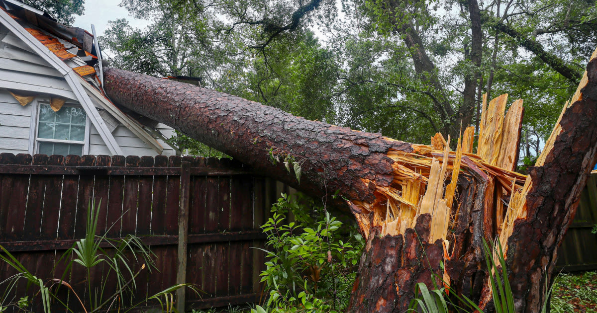 Deadly thunderstorms and strong winds in Florida leave destruction in their wake