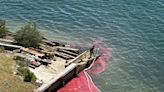 Rust-colored substance spreads in Lake Worth Lagoon near heralded manatee habitat