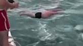 'Beyond ignorant': Man filmed 'body slamming' orca in New Zealand is fined